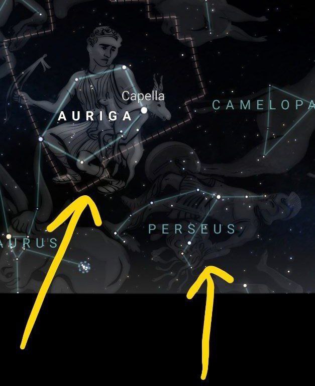 Comparison of Auriga and Perseus: 

Auriga is next to the Perseus.